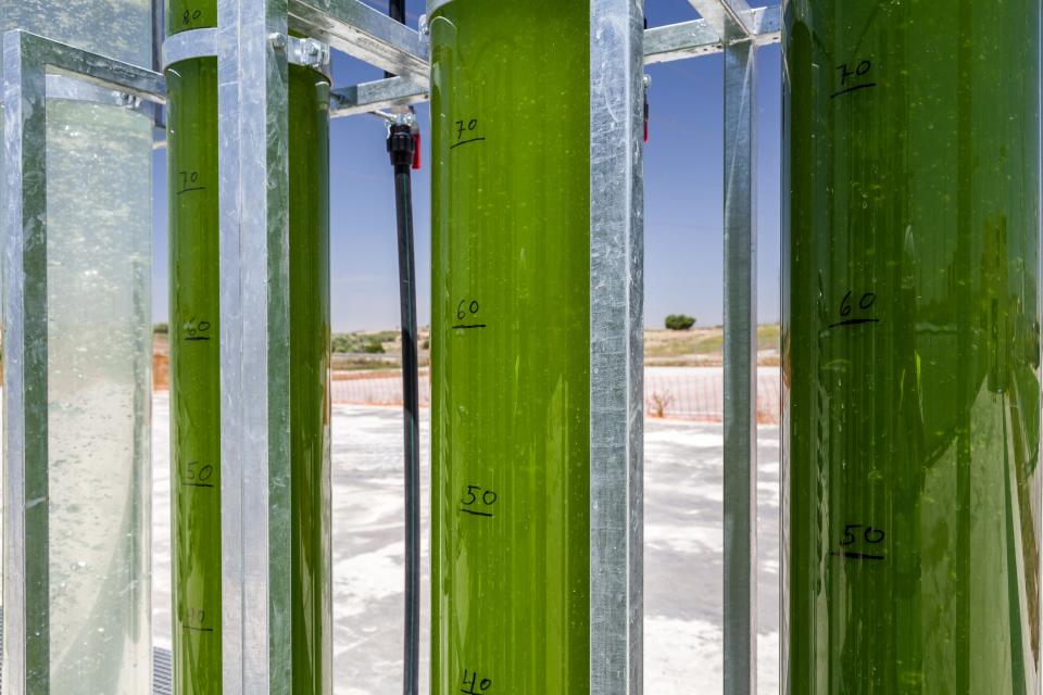 Tubes filled with algae capturing CO2 in Andalusia, Spain.