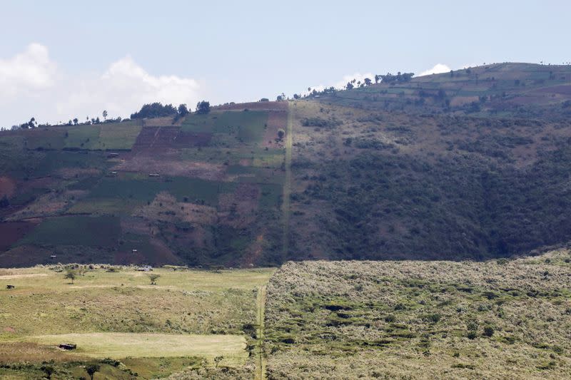 An electric fence separates agricultural land and the Eburru forest reserve