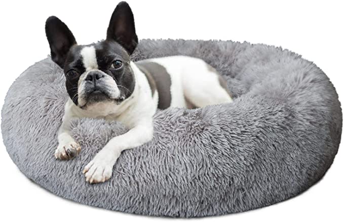 best dog beds nononfish small