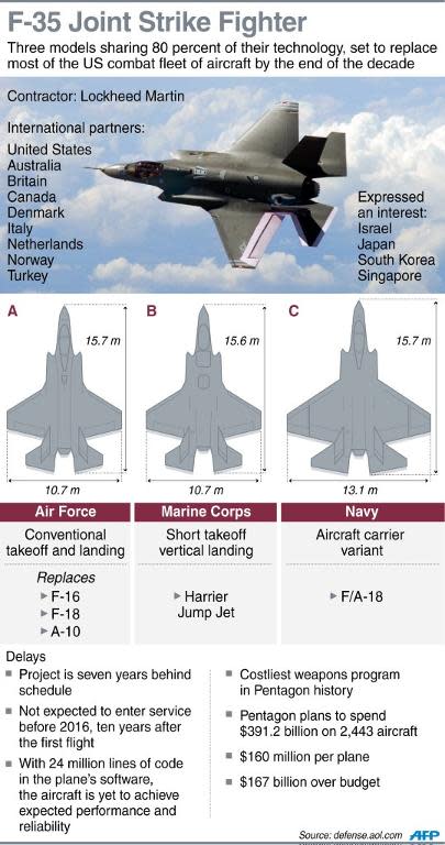 Factfile on the F-35 fighter jet