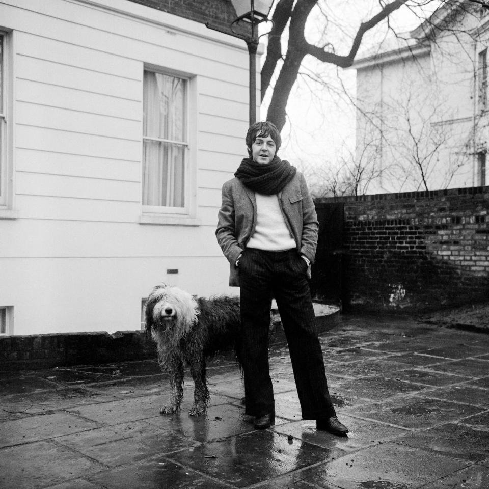 Sir Paul McCartney outside his home with pet Old English Shepherd, Martha  - Alamy 