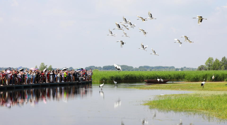 The 6th Heilongjiang Provincial Tourism Industry Development Conference was held in Qiqihar