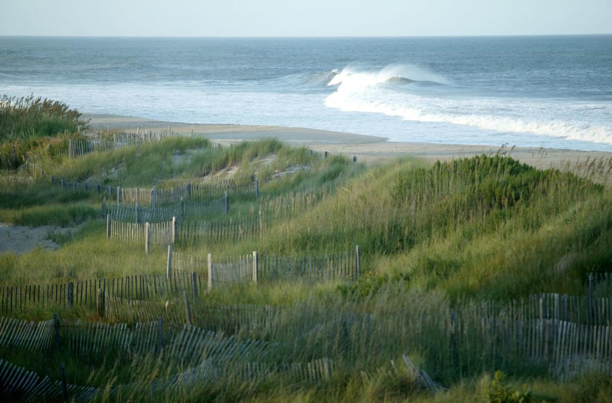 picket fences on sand dunes at beach