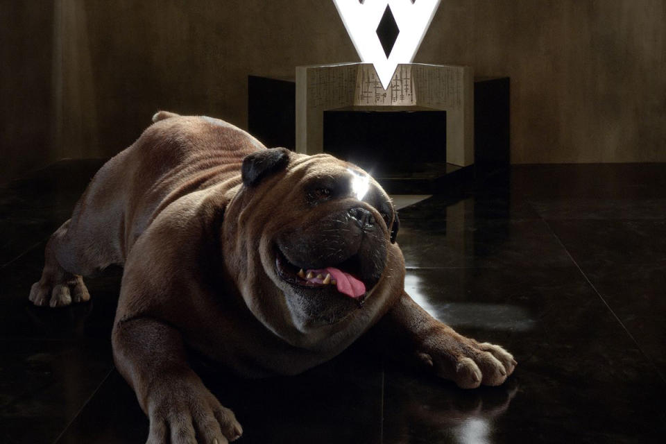 <p><em>Inhumans </em>is rife with terrible CGI, but the biggest offender by far is this 2,000-pound teleporting doggie who whisks Black Bolt’s friends and family from the moon to Hawaii and back again. A literally massive undertaking to bring to life, Lockjaw <a rel="nofollow" href="https://www.yahoo.com/entertainment/marvels-inhumans-five-reasons-im-still-watching-180821333.html" data-ylk="slk:has only been an intermittent presence;elm:context_link;itc:0;sec:content-canvas;outcm:mb_qualified_link;_E:mb_qualified_link;ct:story;" class="link  yahoo-link">has only been an intermittent presence</a> since the first episode in order to save the production time and money. We still hope he finds a forever family after the show’s almost inevitable cancellation. <em>— Ethan Alter</em><br>(Photo: Marvel Television) </p>