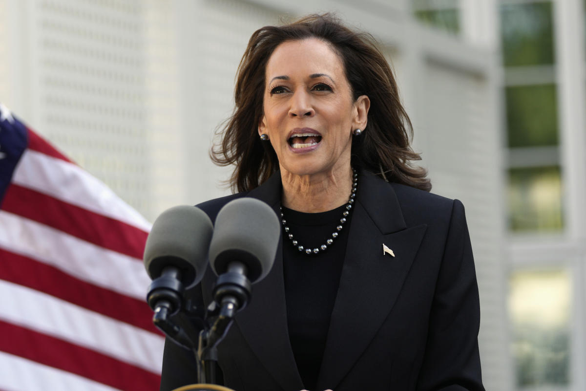 How Kamala Harris’s ‘care economy’ would work