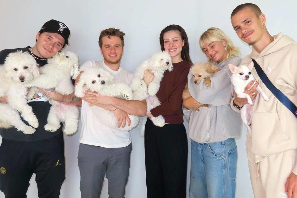 <p>Brooklyn Beckham/Instagram</p> Brooklyn Beckham, Jeremy Clerc, Nicola Peltz Beckham, Mia Regan and Romeo Beckham with their dogs.