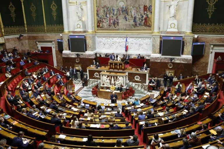 Vue générale de l'Assemblée nationale le 24 novembre 2022 à Paris - Geoffroy Van der Hasselt © 2019 AFP