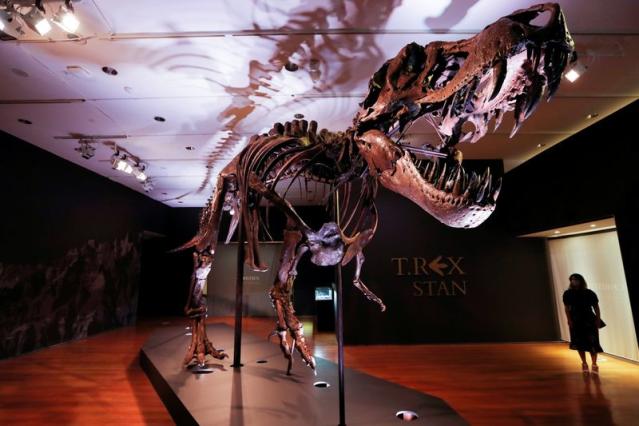 Like Godzilla, but actually real': study shows T. rex numbered 2.5 billion