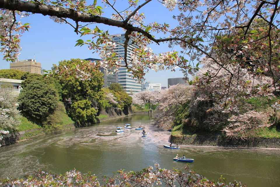 千鳥淵 (Photo by Arashiyama, License: CC BY-SA 3.0, Wikimedia Commons提供)