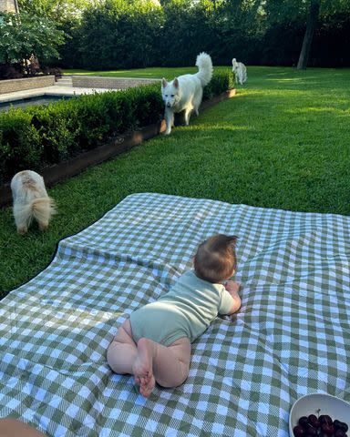 <p>Anamaria Goltes/Instagram</p> Luka Doncic's daughter Gabriela with the family's three dogs
