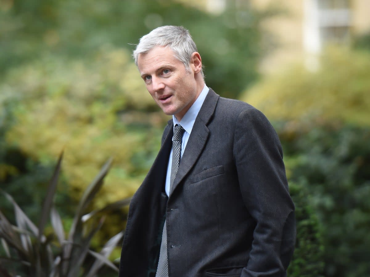 Former environment minister Zac Goldsmith (PA)