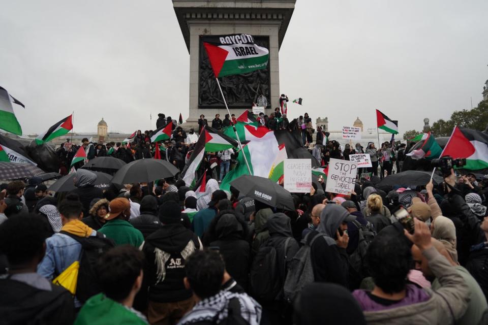 Protesters in Trafalgar Square, central London, during a pro-Palestine march (Stefan Rousseau/PA) (PA Wire)