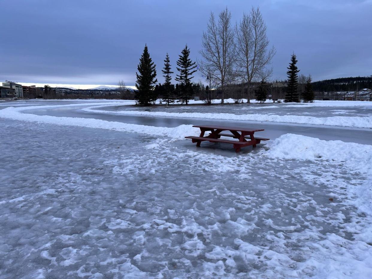 Shipyards Park in Whitehorse, the original start line of the Yukon Quest which begins on Saturday. On Monday, temperatures in the city reached an unseasonable 4.7 C. The return of colder temperatures since then has made for icy conditions.    (Katie Todd/CBC - image credit)