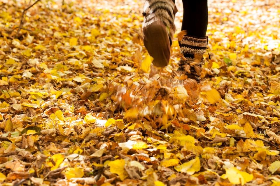 Person stomping through a pile of dry yellow leaves.