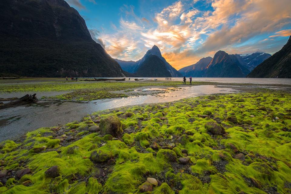 Milford Sound, New Zealand