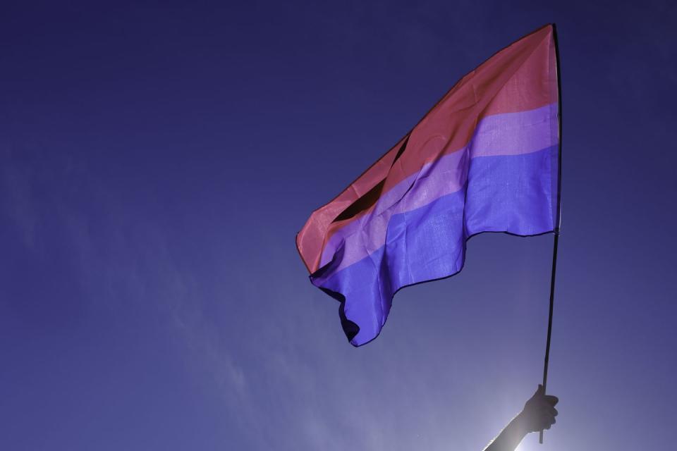 bisexual flag fluttering in the wind over a radiant blue sky