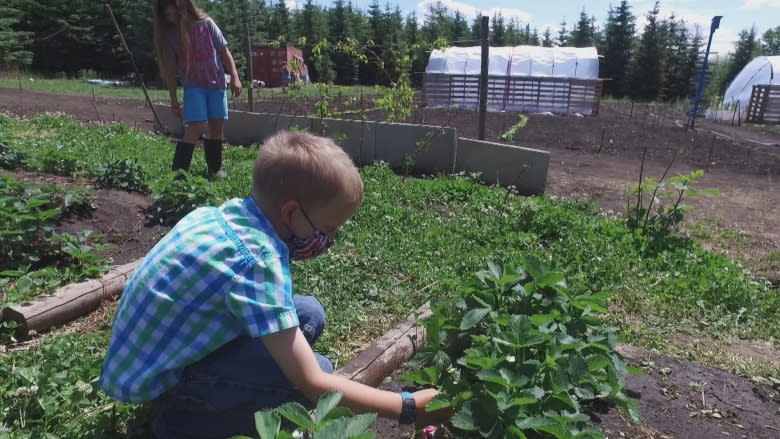 'Allergic to life': Parents seek solution to Alberta boy's mysterious condition