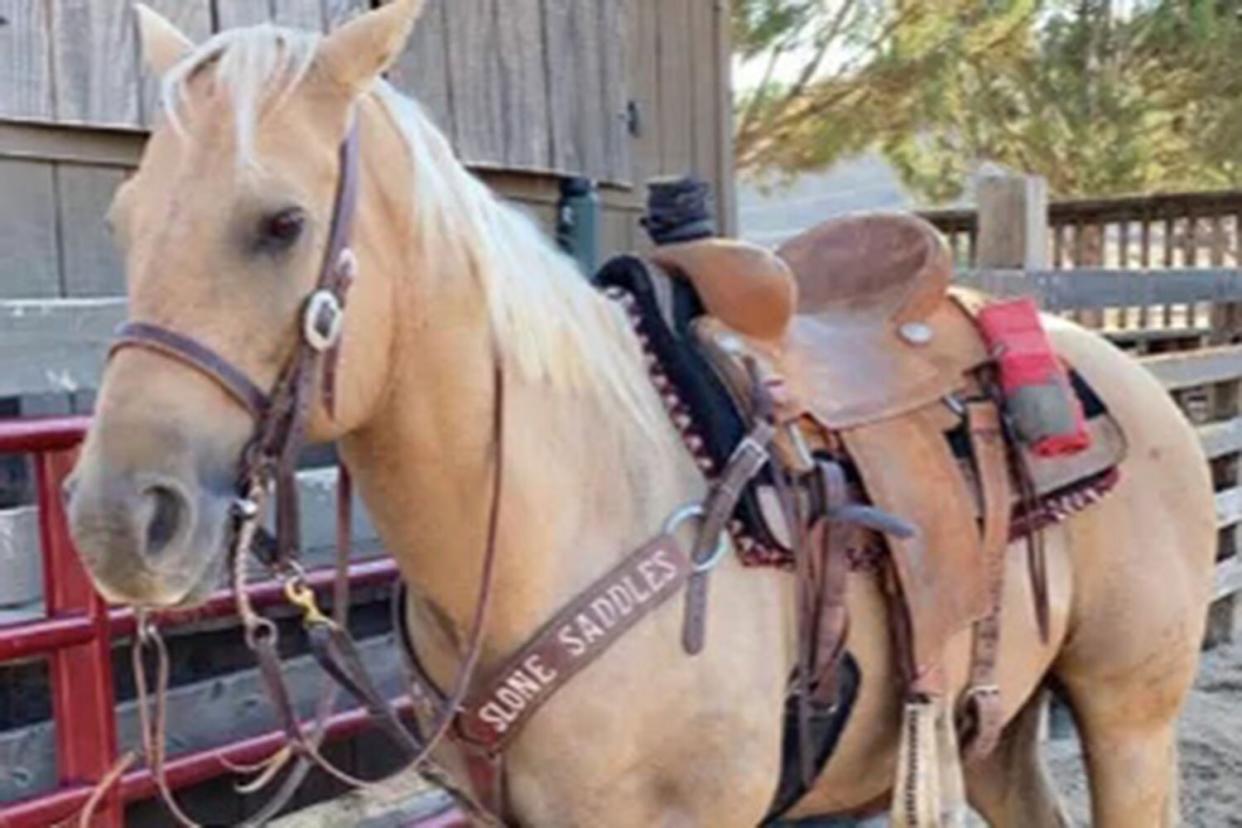 - World Champion Roping Horse with the 'Fluffiest' Ears Dies Alongside Another Horse in California Barn Fire