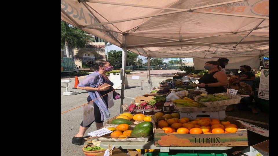 Masks and social distancing are required at the South Miami Farmers Market, held Saturday mornings in front of South Miami City Hall and the library.