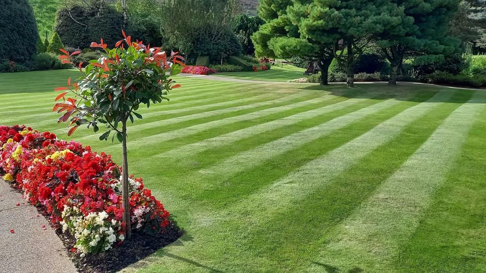 how to get the perfect lawn stripes