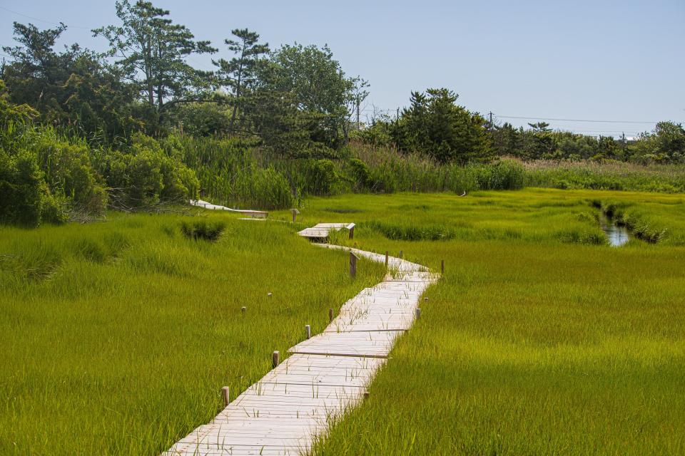 The annual LBIF Marsh Clean Up takes place Friday.