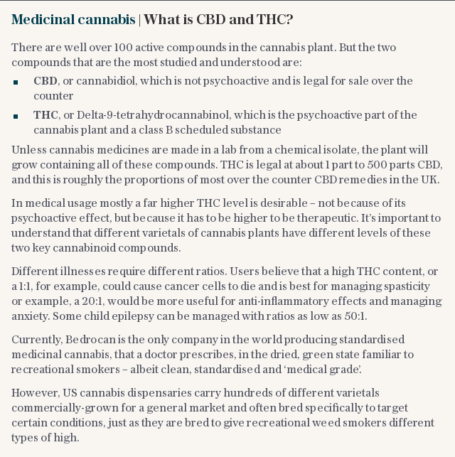 Medicinal cannabis | What is CBD and THC?