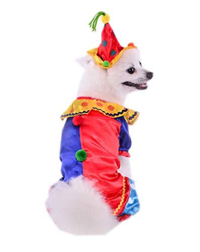 Clown Costume for Dogs