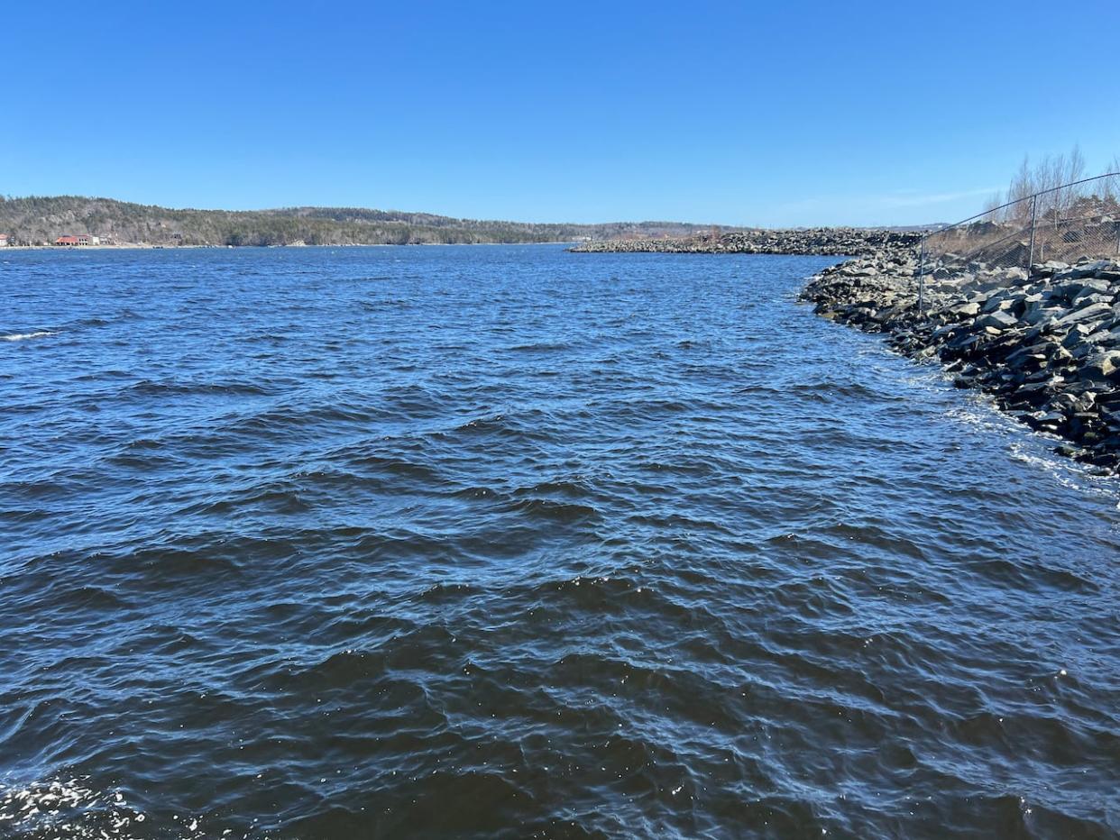 Almost $260 million in funding from the federal, provincial and municipal governments was announced Monday to build the Mill Cove ferry service. The funding will go toward five high-speed electric ferries, two terminals and a new maintenance facility.   (Paul Palmeter/CBC  - image credit)