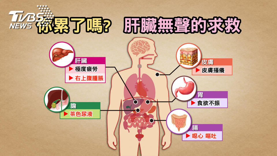 圖/TVBS提供