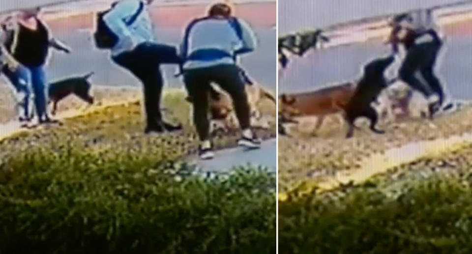 The mum and baby were going for a walk with their dog when two others attacked them. Source: Nine News