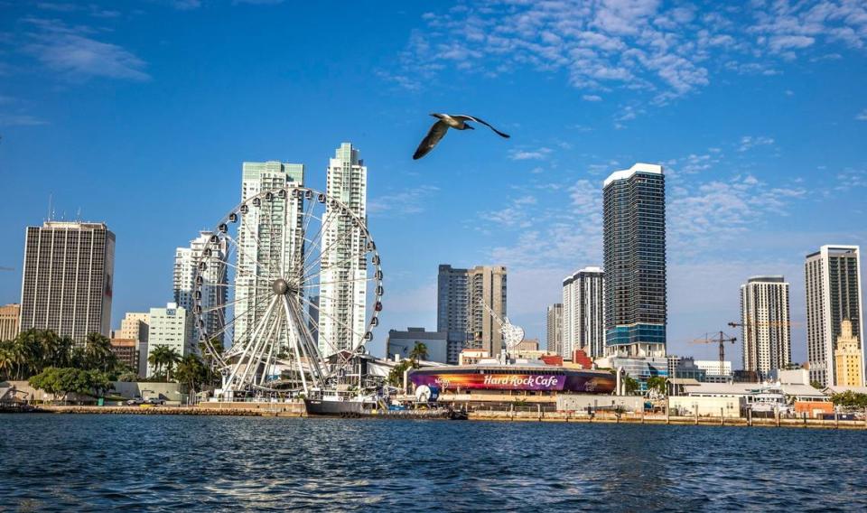 El paisaje urbano del downtown de Miami, incluido Bayside Market Place, el 26 de enero de 2022.