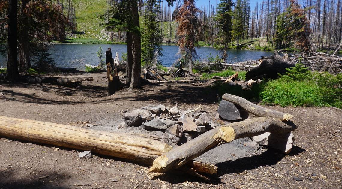 The most popular hikes at Jennie Lake include overnight stays at one of the lake’s primitive campsites.