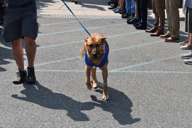 <p>Facebook/Troy Police Department</p>