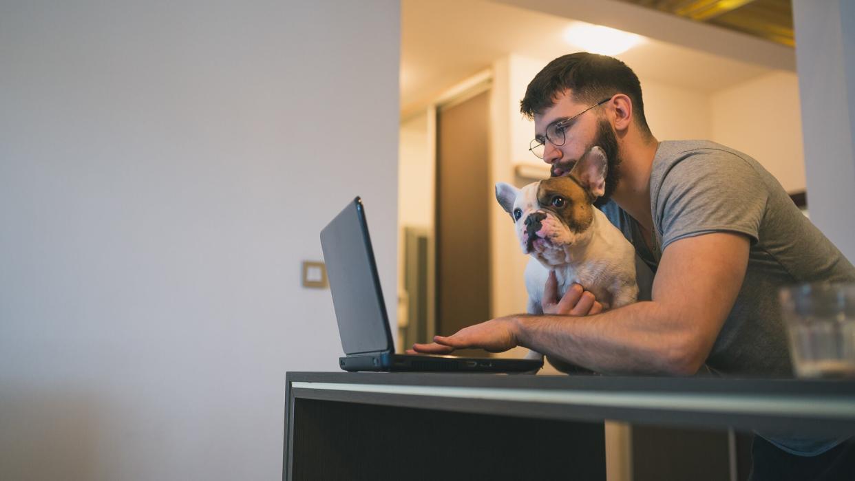 Handsome man browsing internet on laptop on kitchen counter with his dog.