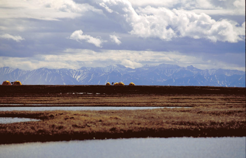 A bird research camp is pictured in Alaska's Arctic National Wildlife Refuge.  (Photo: Ho New / Reuters)