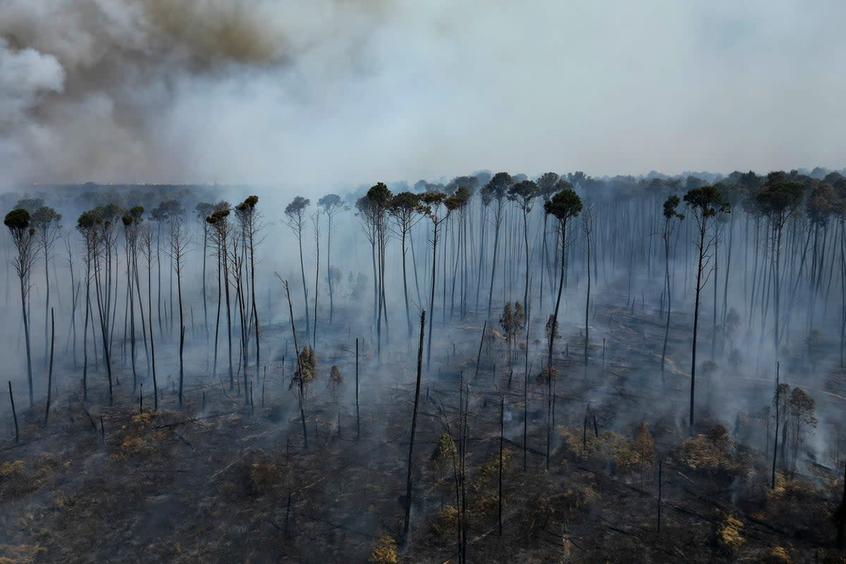 Smoke rises, earlier this month, from fires spreading through the Brasilia National Forest in Brazil. Scientists have said that between 10-47 percent of Amazonian forests are at risk of collapse by 2050 under climate and deforestation stress ((AP Photo/Eraldo Peres))