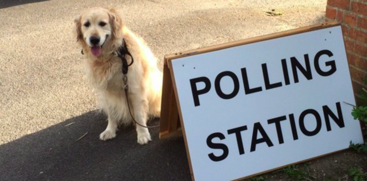 Don't be sad, it's polling day! (Pic: Twitter/@MeltonBC)