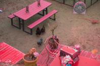 <p>Chickens walk around a backyard covered in pink fire retardant at the Holy Fire in Lake Elsinore, California, southeast of Los Angeles on Aug. 10, 2018. (Photo: Robyn Beck/AFP/Getty Images) </p>