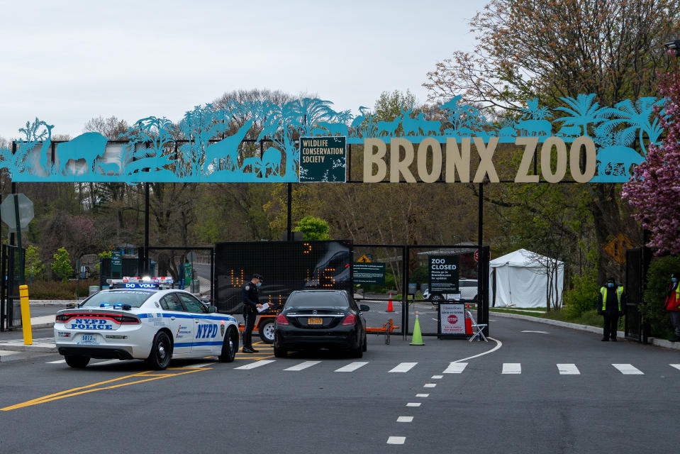 NEW YORK, NY - APRIL 23: A COVID-19 testing site is seen in a parking lot at the Bronx Zoo on April 23, 2020 in New York City. Seven more big cats have reportedly tested positive for the coronavirus (COVID-19) after a tiger tested positive earlier in the month. (Photo by David Dee Delgado/Getty Images)