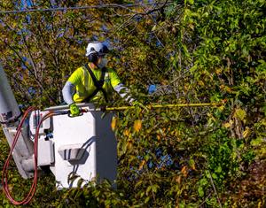 In areas where tree trimming has been completed communities have experienced, on average, 60% fewer outages.  

DTE tree trimmers are trained in national safety practices through an International Brotherhood of Electrical Workers apprenticeship program. Training includes tree identification, tree health, climbing, machine management, ground support, and electric hazard awareness.