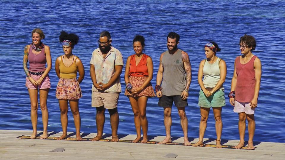 Survivor 44