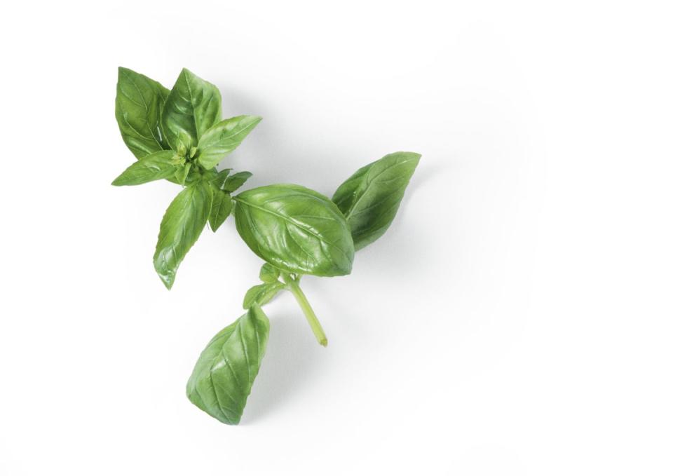 9) Basil