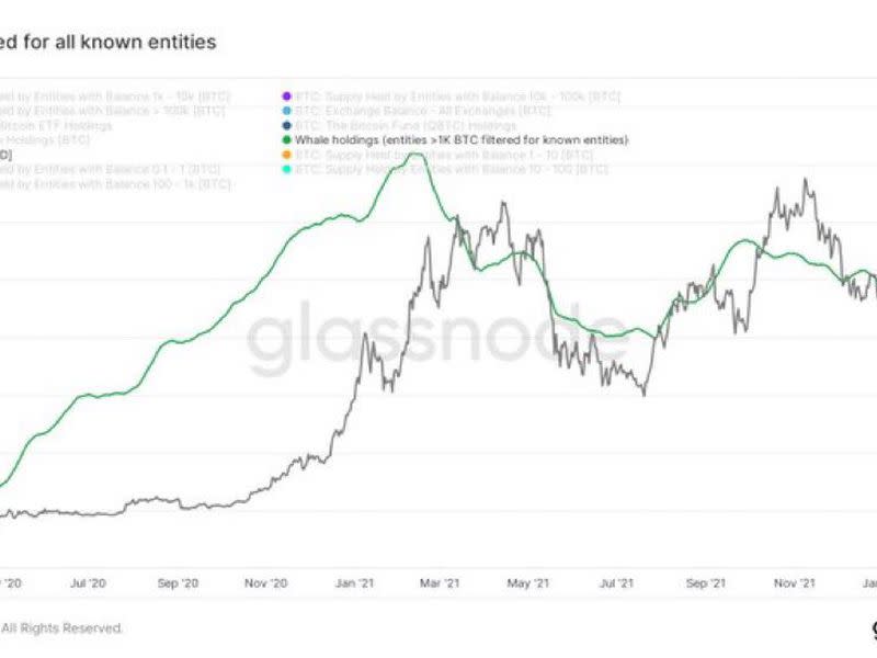 Bitcoin whales holdings filtered for known entities or exchanges (Glassnode, Blockware Intelligence) 