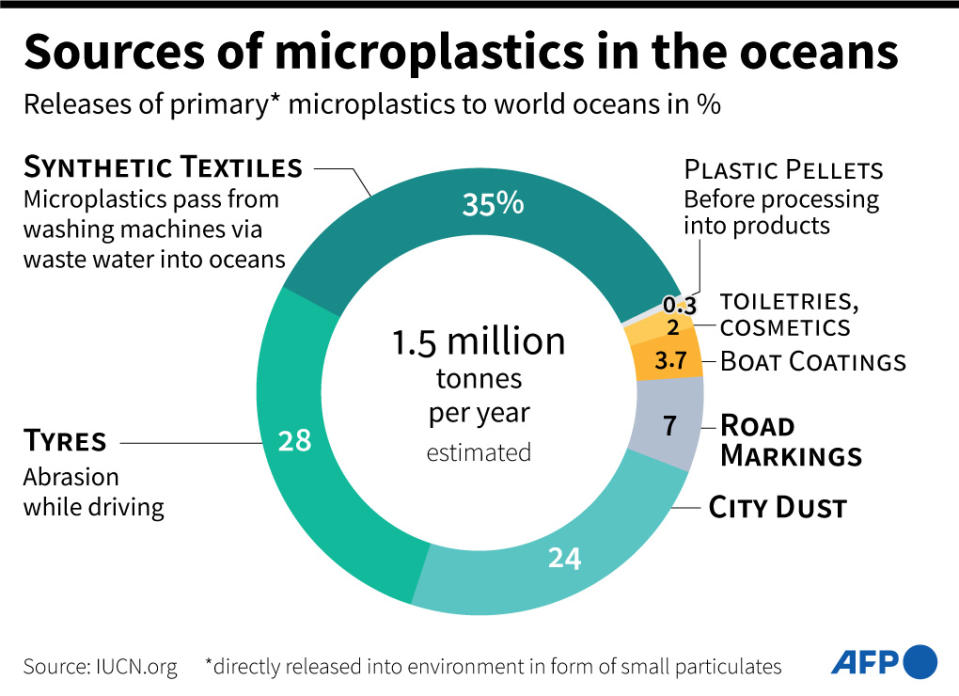 <span>Sources of primary microplastics in the world's oceans which include from the washing of synthetic clothing and abrasion of motor vehicle tyres while driving</span><div><span>Jonathan WALTER</span><span>Paz PIZARRO</span><span>AFP</span></div>