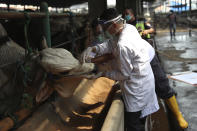 Veterinarians wearing face mask as a precaution against the new coronavirus outbreak examine cows prepared for the upcoming Eid al-Adha festival, at a slaughterhouse in Jakarta, Indonesia Friday, July 10, 2020. Eid al-Adha, or Feast of Sacrifice, is an Islamic holiday that commemorates the willingness of Prophet Ibrahim, Abraham to Christians and Jews, to sacrifice his son. (AP Photo/Achmad Ibrahim)