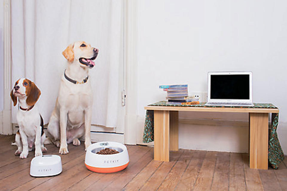 PETKIT SMART DIGITAL FEEDING BOWL