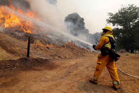 FILE PHOTO: A firefighter uses a hose to knock down flames while battling the Ranch Fire (Mendocino Complex) north of Upper Lake, California, U.S., August 1, 2018. REUTERS/Fred Greaves/File Photo