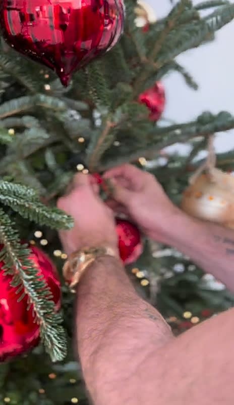 William Levy poniendo los adornos en su árbol de Navidad junto a Elizabeth Gutiérrez