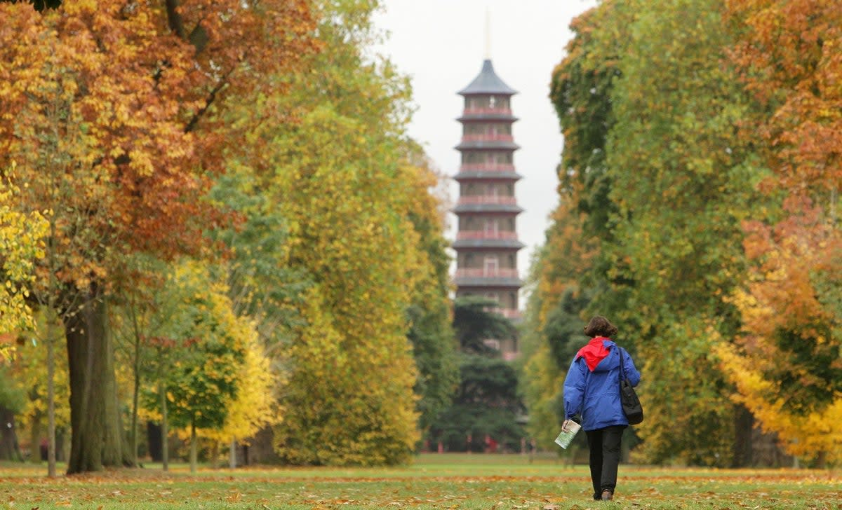 Autumn tail: Kew is home to some of the most spectacular trees in London (PA)