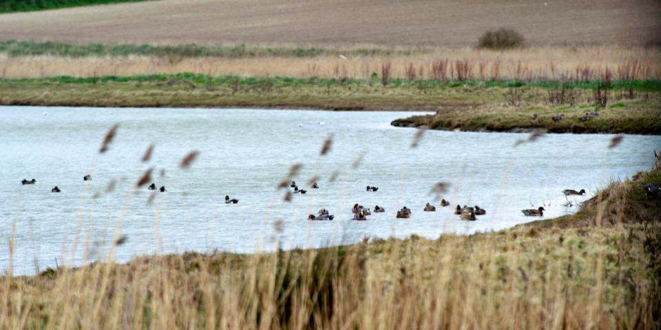 Eastern Daily Press: The Cley and Salthouse Marshes, near Sheringham
